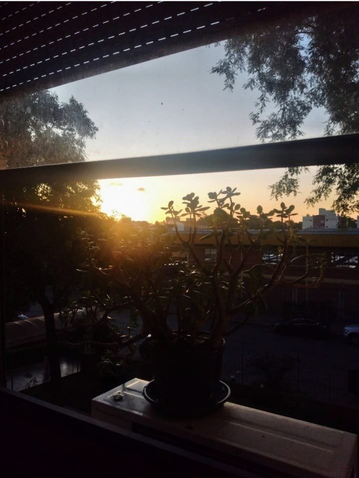 Apartamento JK 1 dormitório