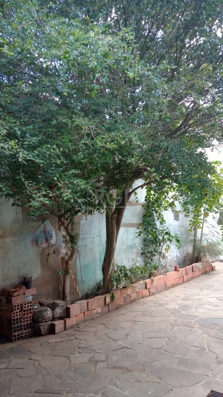 Casa, 4 quartos, 300 m² - Foto 13