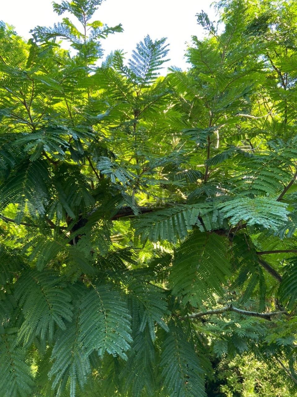 Apartamento, 3 quartos, 72 m² - Foto 18