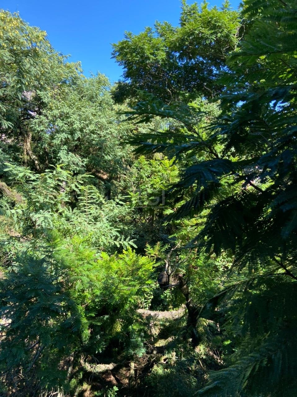 Apartamento, 3 quartos, 72 m² - Foto 22